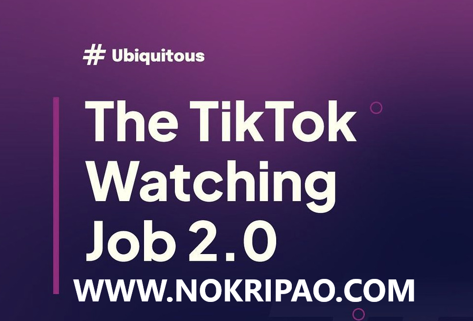 The TikTok Watching Job 2.0 ðŸŽ‰ | Make Money On Tiktok | Nokripao