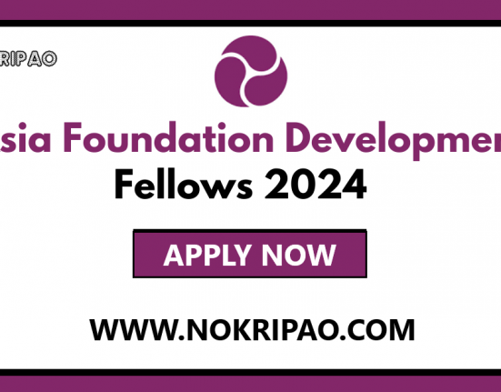 Asia Foundation Development Fellows Program 2024